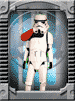 David J Wilder