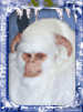 Kevin C Scott
