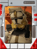 Brandyn J Ippolito